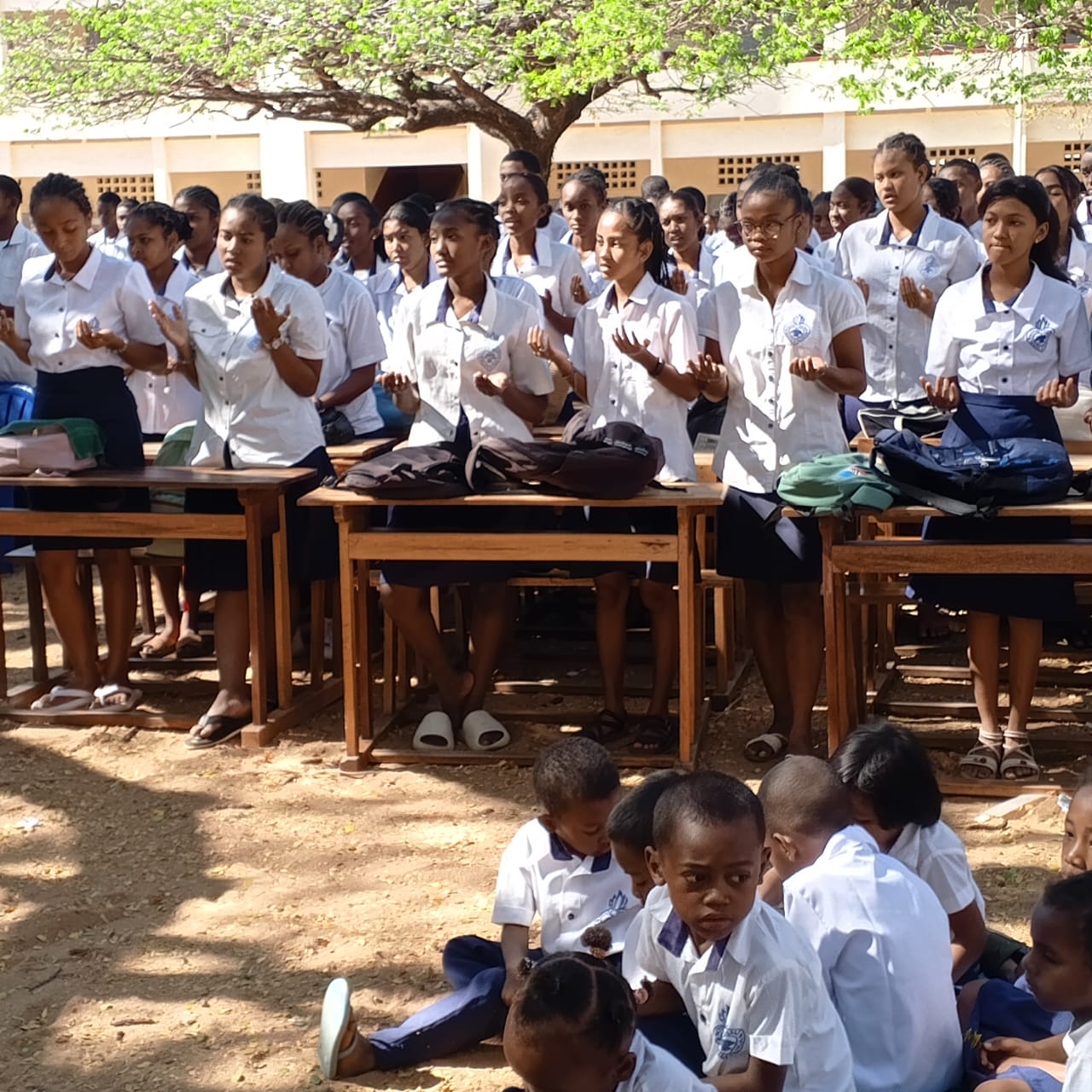 https://www.sacrescoeursmormaison.org/wp-content/uploads/2025/10/IMG-20250925-WA0008.jpg
