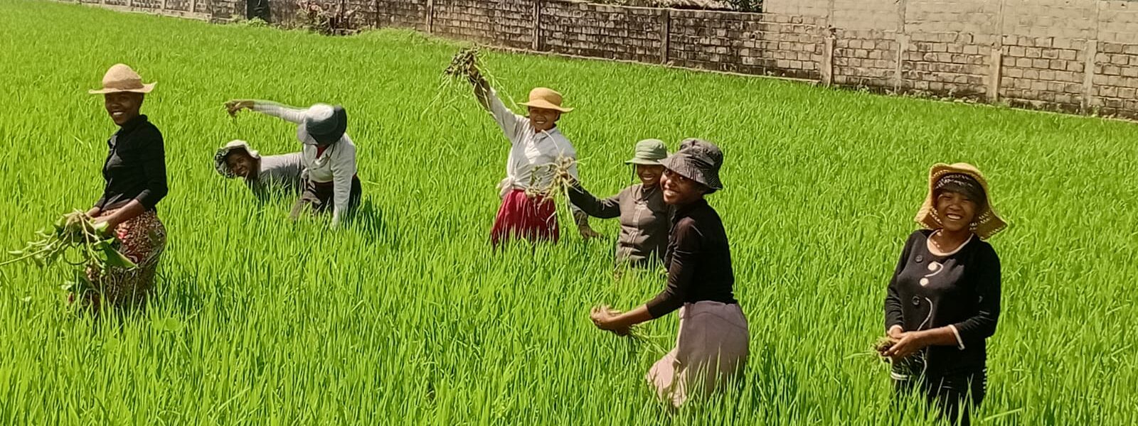 La communauté du Noviciat (Madagascar)