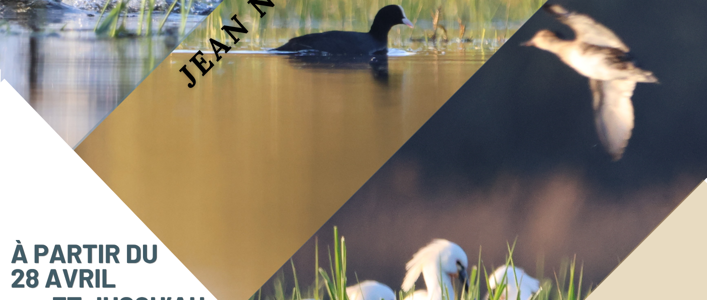 Exposition photos à la Maison mère (France)