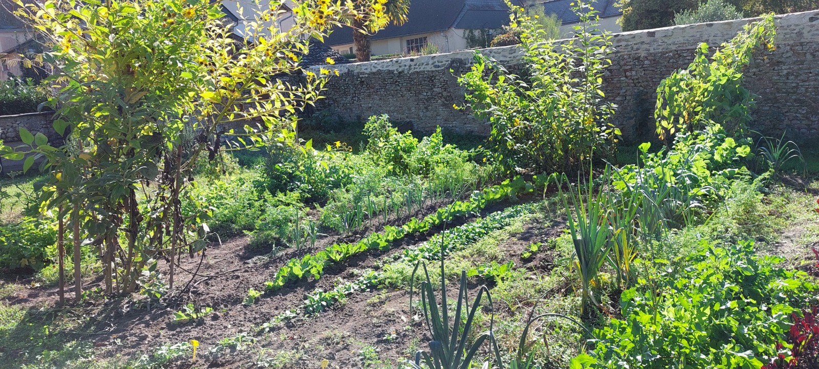 https://www.sacrescoeursmormaison.org/wp-content/uploads/2026/05/WhatsApp-Image-2026-05-04-at-20.40.19-1.jpeg